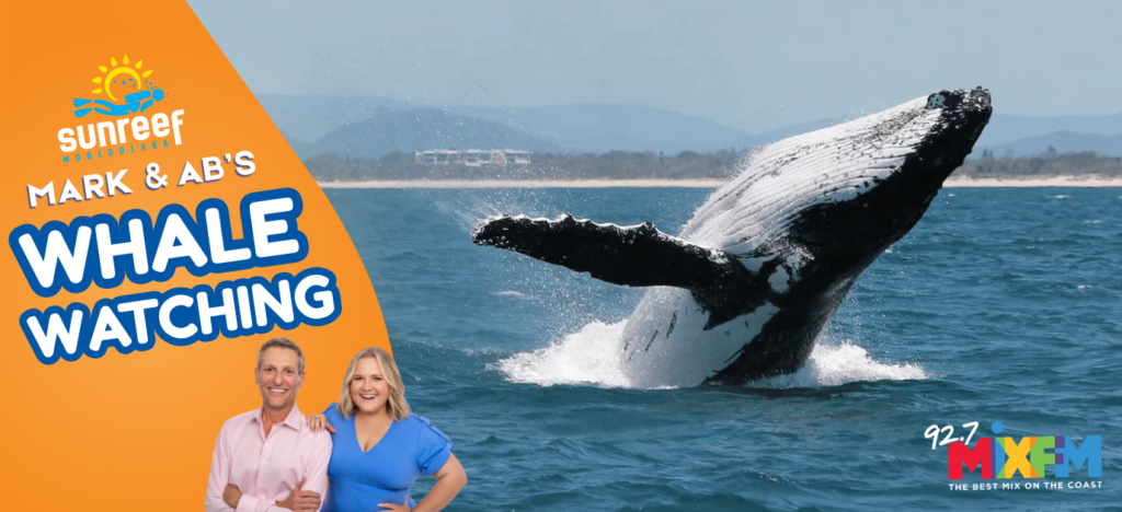 Sunreef Whale Watching
